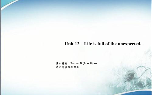 人教版九年级英语下册作业第六课时 Section B (3a-3b)—单元同步作文指导