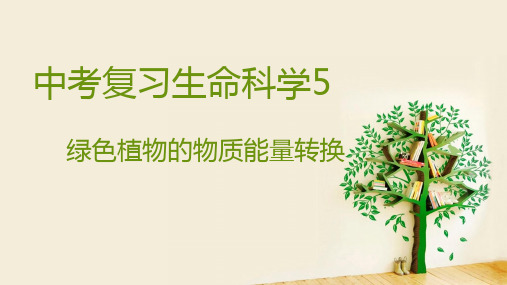 中考复习生命科学5绿色植物的物质和能量转换