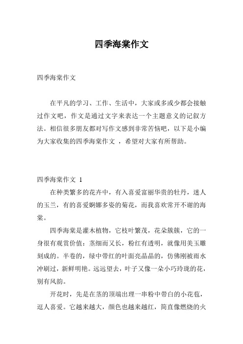 四季海棠作文
