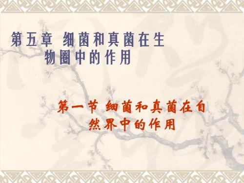 第一节 细菌和真菌在自然界中的作用