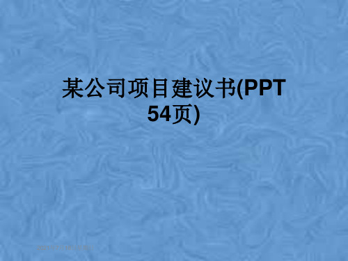 某公司项目建议书(PPT 54页)
