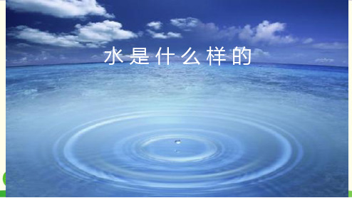 小学科学(苏教版)《水是什么样的》课件-PPT1