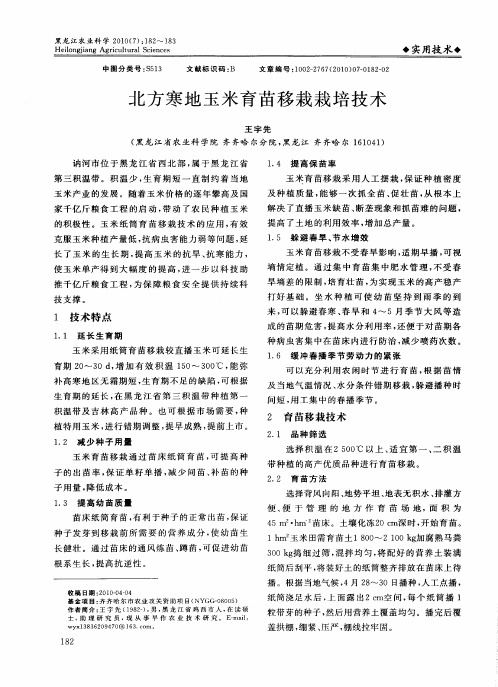 北方寒地玉米育苗移栽栽培技术