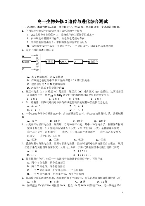 高一生物必修2遗传与进化综合测试