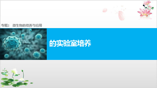 人教版高中生物选修一专题二课题微生物的实验室培养-ppt精品课件