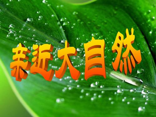 走进大自然 12班