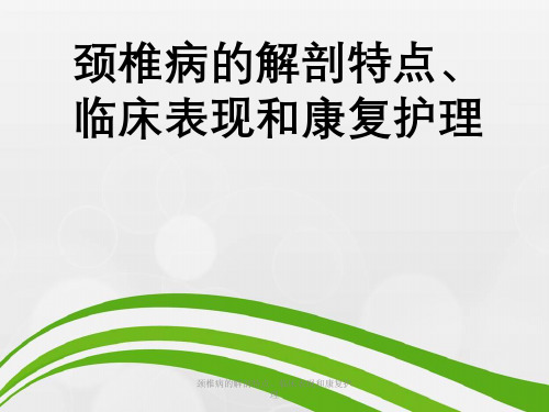颈椎病解剖特点、临床表现及康复护理