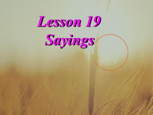 最新-九年级英语 Lesson19 Saying课件 冀教版  精品