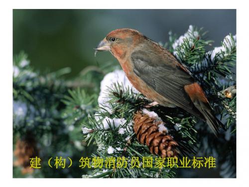 消防职业标准