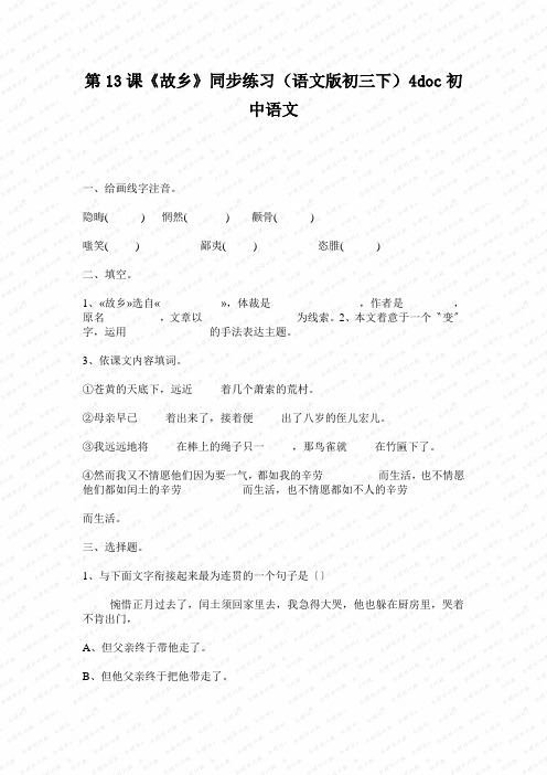第13课《故乡》同步练习(语文版初三下)4doc初中语文