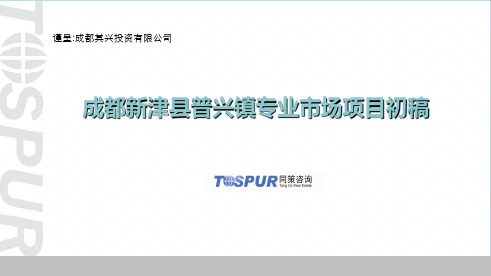 成都新津普兴镇专业市场项目报告