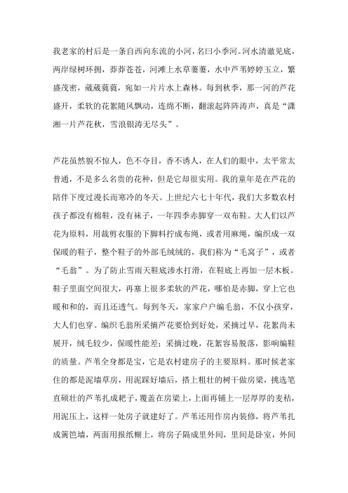 “我爱我的祖国”征文：老家的芦花