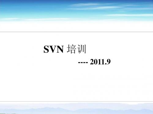 SVN培训