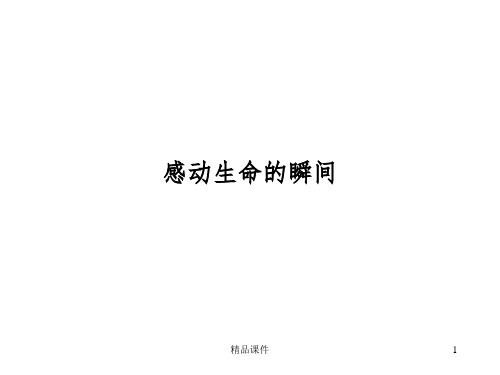 感动生命的瞬间ppt课件