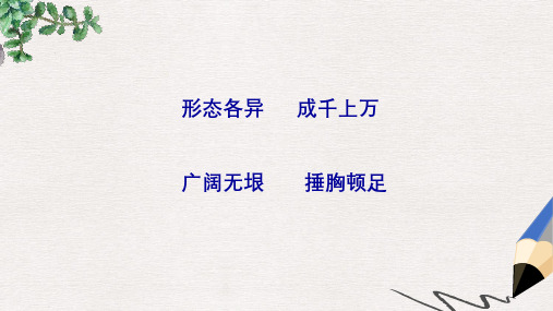 五年级语文上册《皮皮鲁的风筝》课件4 语文A版