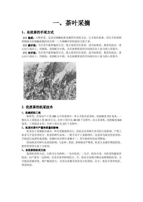 茶叶采摘