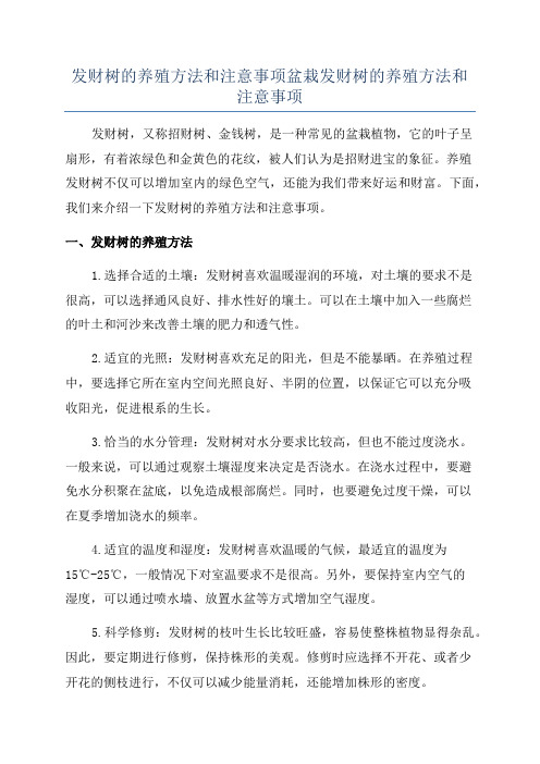 发财树的养殖方法和注意事项盆栽发财树的养殖方法和注意事项