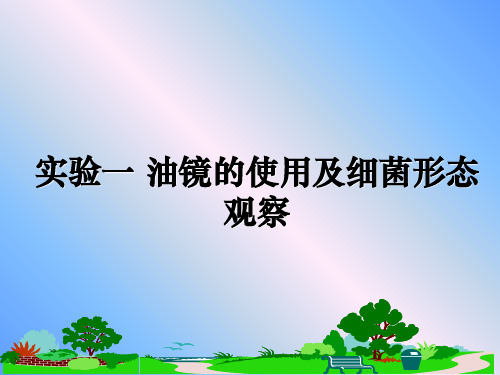 最新实验一 油镜的使用及细菌形态观察PPT课件