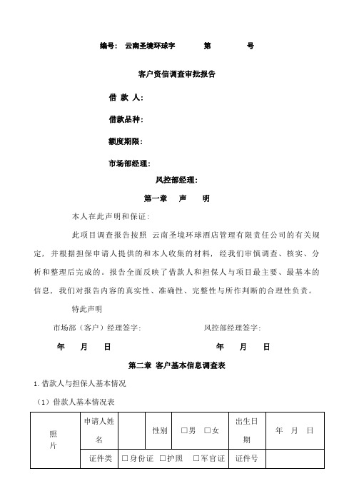 客户资信调查审批报告1