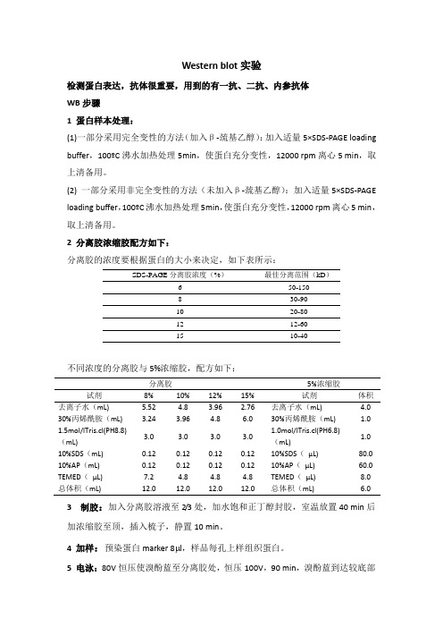 WB详细操作步骤