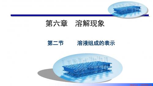 6-2溶液组成的表示 (2)