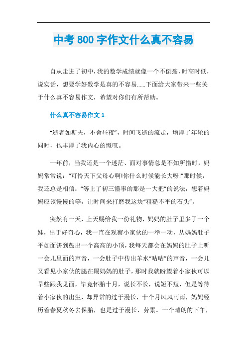 中考800字作文什么真不容易