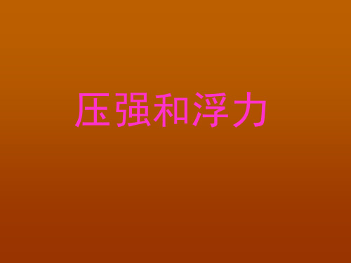 中考物理压强和浮力专题复习课件(人教版)