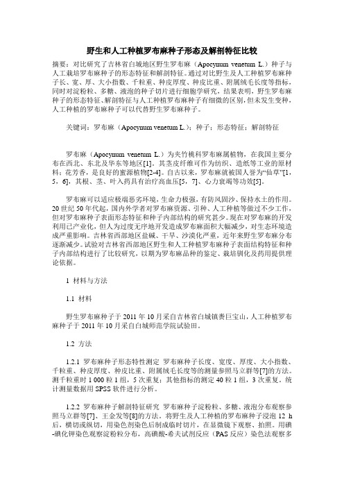 野生和人工种植罗布麻种子形态及解剖特征比较