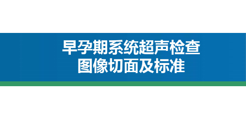 早孕期标准(NT)