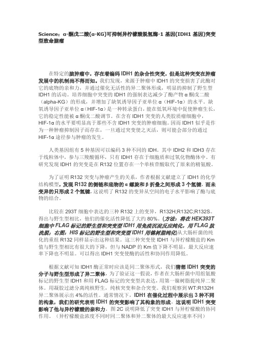 α-酮戊二酸(α-KG)可抑制异柠檬酸脱氢酶-1基因(IDH1基因)突变型致命脑瘤