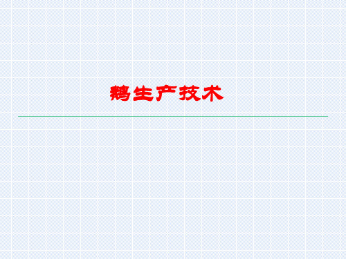 鹅生产技术