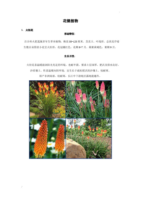 100种花境植物、有解析和图片