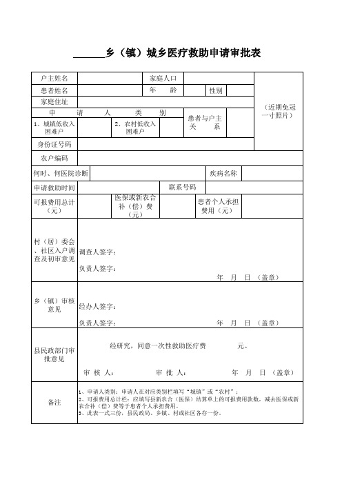 新大病救助审批表