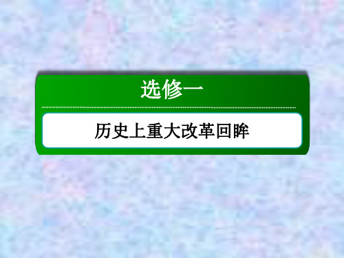 高考历史人教版大一轮总复习课件：第44讲 古代历史上的重大改革 