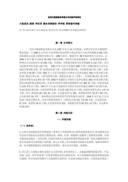 五粮液风险评估报告