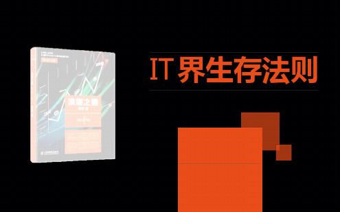 IT界生存法则