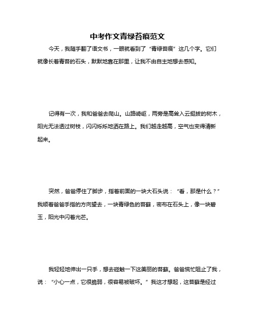 中考作文青绿苔痕范文