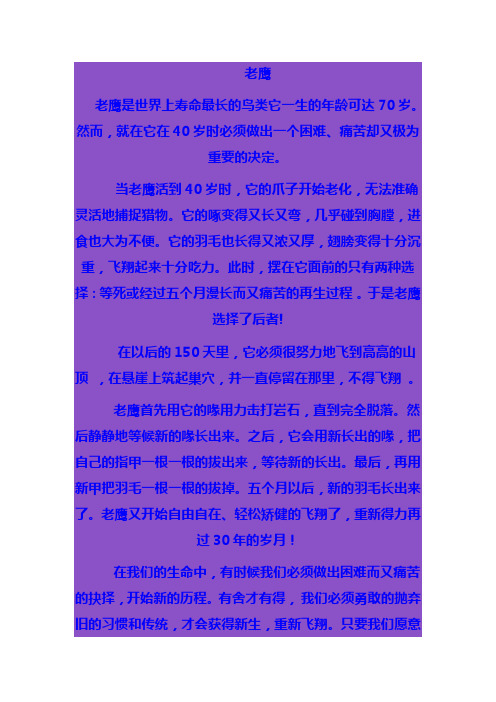 老鹰
