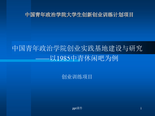 大创答辩  ppt课件