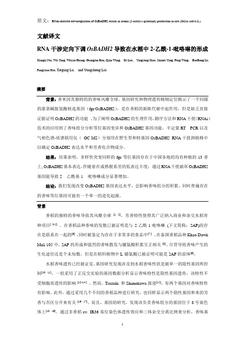 文献译文---RNA干涉定向下调OsBADH2导致在水稻中2-乙酰-1-吡咯啉的形成