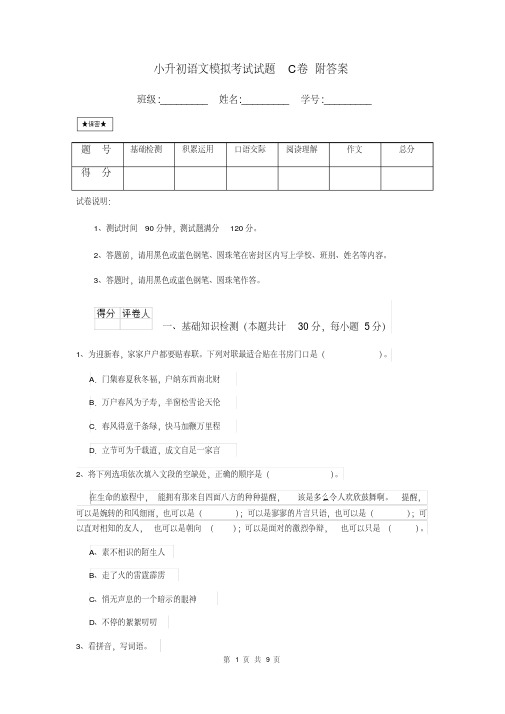 小升初语文模拟考试试题C卷附答案