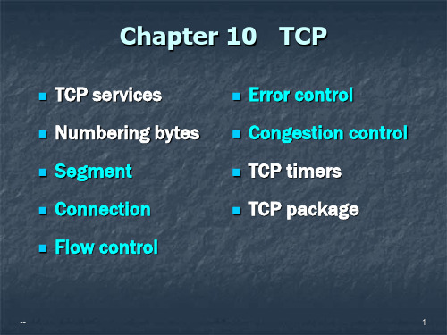 TCP IP协议PPT课件-第10章 TCP协议