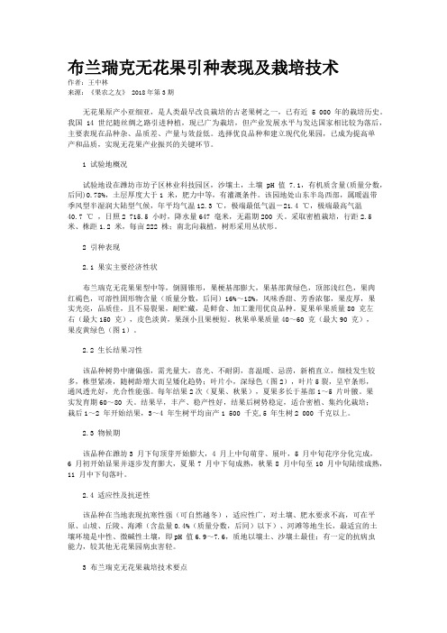 布兰瑞克无花果引种表现及栽培技术