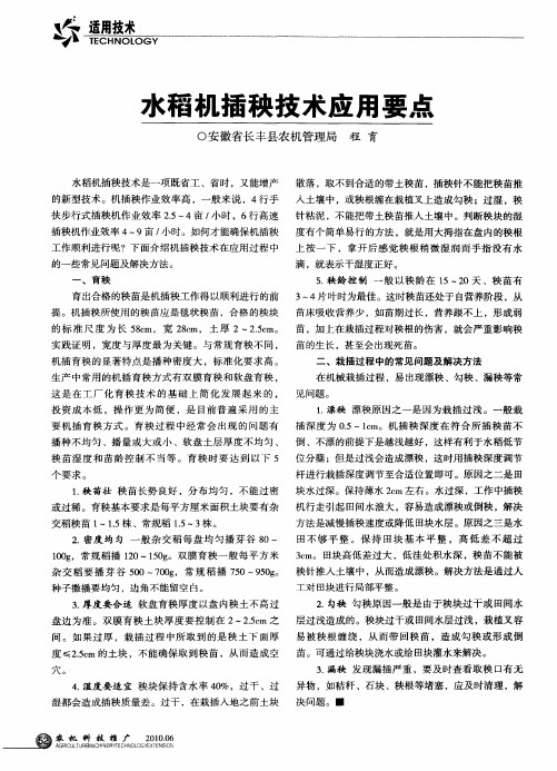 水稻机插秧技术应用要点