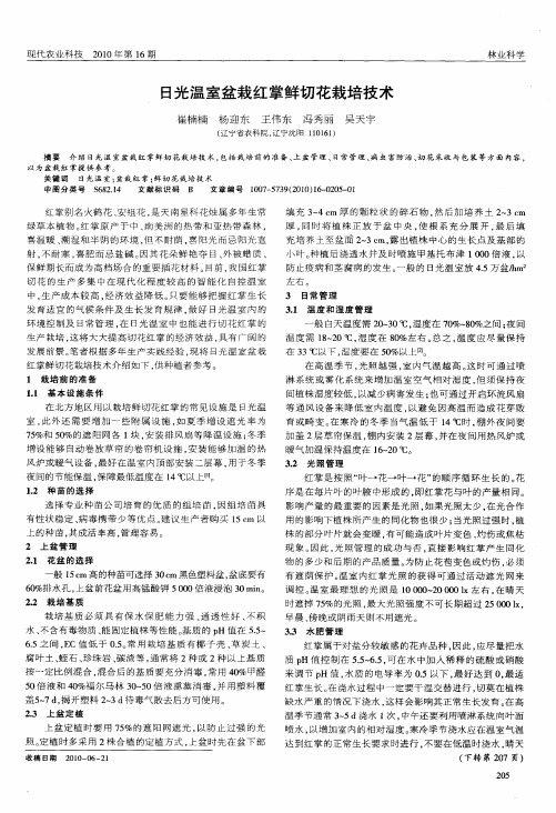 日光温室盆栽红掌鲜切花栽培技术