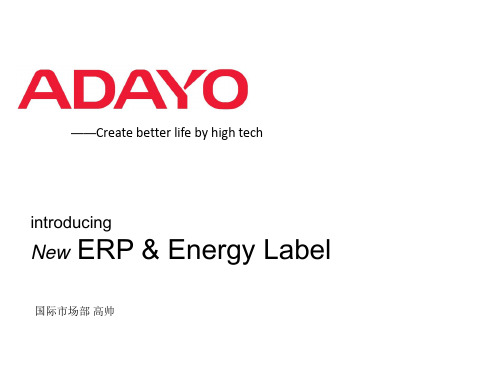 LED灯具ERP指令解读