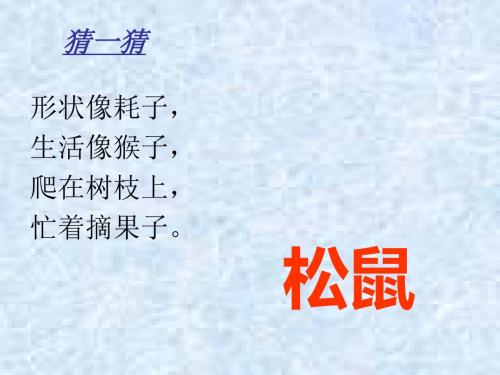 一年级下语文课件-松树和松果-人教版3