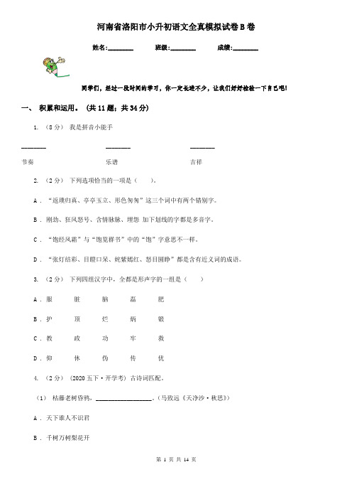 河南省洛阳市小升初语文全真模拟试卷B卷