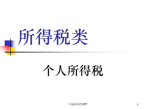个人所得税精ppt课件