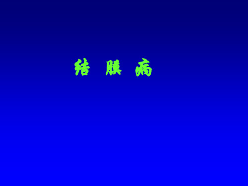 结膜病